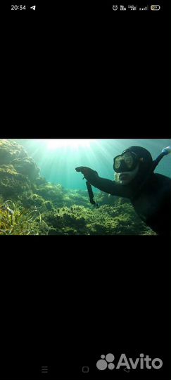 Продам комплект снаряжения для подводной охоты