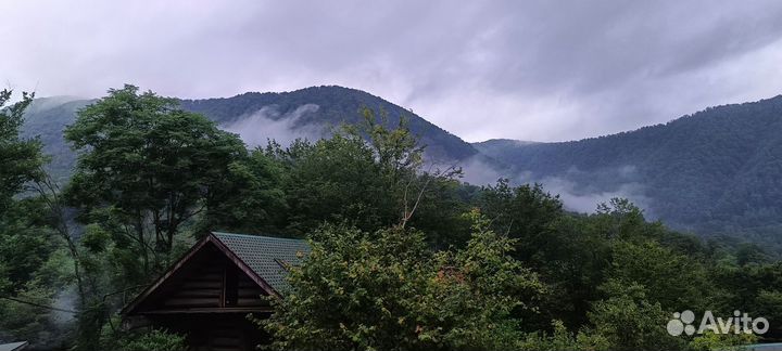 По уходу за животными