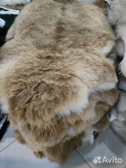 Овечья шкура
