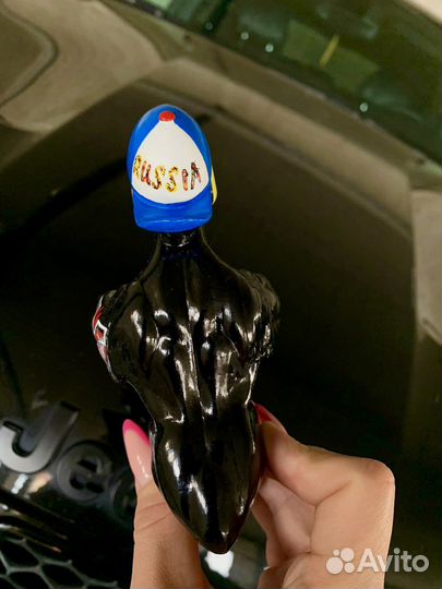 Селезень на авто