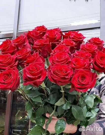 Высокие розы 150 160 170 180 190см доставка Москва