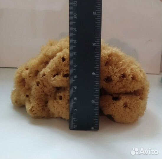 Натуральная морская губка