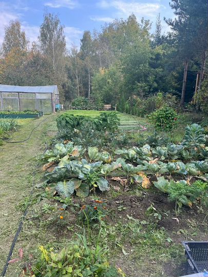 Дача 63 м² на участке 9 сот.