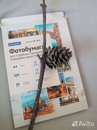 Шишки сосновые на ветках для декора