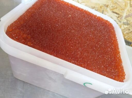 Оптом свежий улов икры нерки