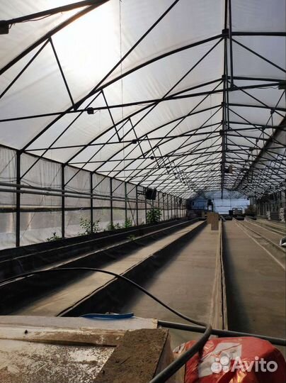 Фермерская теплица