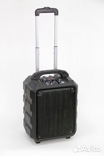 Акустическая система Leem PR-6 с аккумулятором