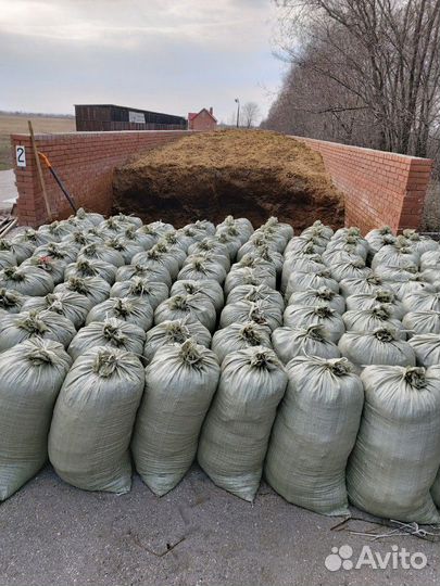 Конский навоз