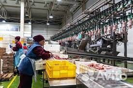 Оператор линии - вахта в Челябинской области