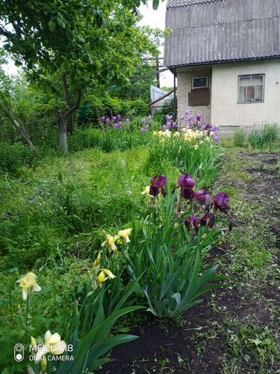 Дача 26 м² на участке 5 сот.