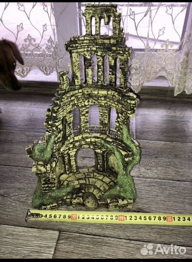 Коряга мангровая