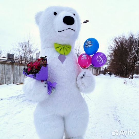 Белый Мишка и Панда Поздравление