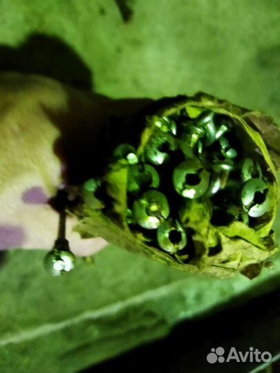 Велоспиц ммвз3.112 новые