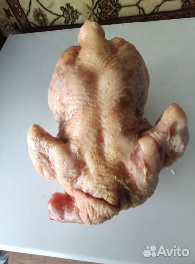 Мясо домашней птицы