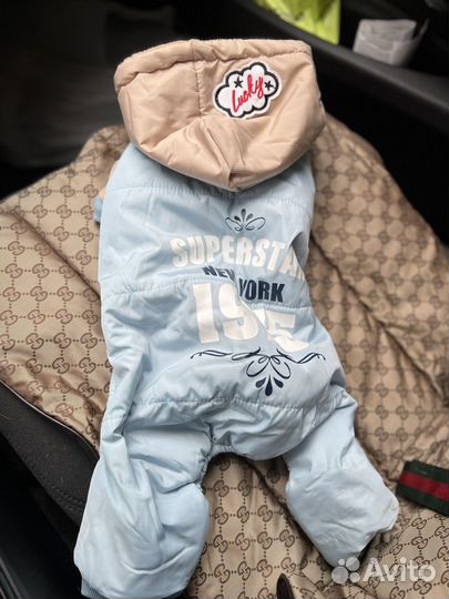 Комбинезон для собаки