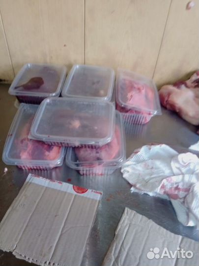 Свинина Обрезь для собак