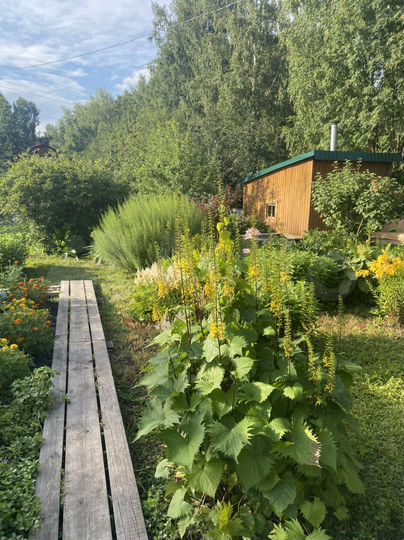 Дача 65 м² на участке 5,7 сот.