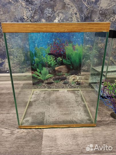 Аквариум