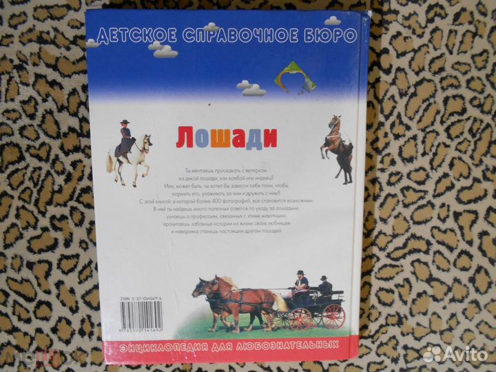 Жан-Франсуа Баллро, Жиль Делаборд - Лошади