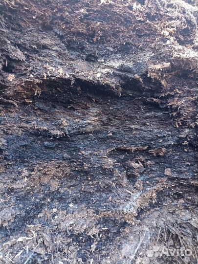 Конский навоз