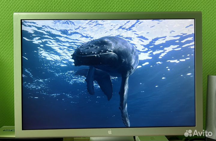 Монитор Apple Cinema Display 20