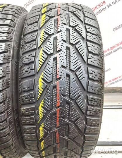 Riken Snow 225/45 R17 94H