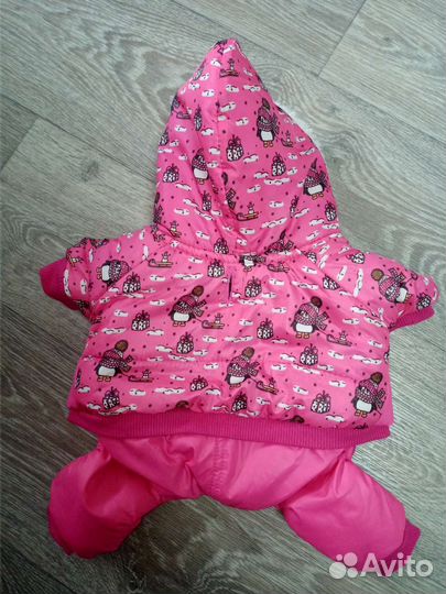 Одежда для маленьких собак