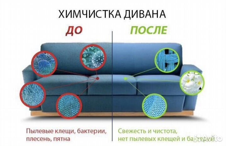 Аренда моющего пылесоса karcher