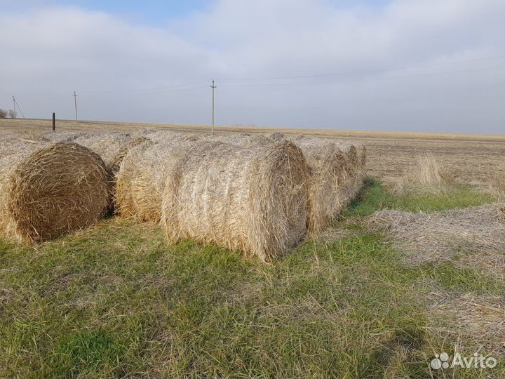 Солома в тюках