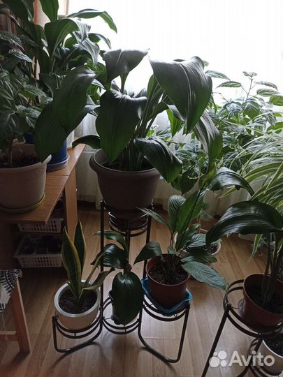 Подставка для цветов напольная металлическая