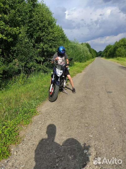 Winner 250/Stels Flex 250