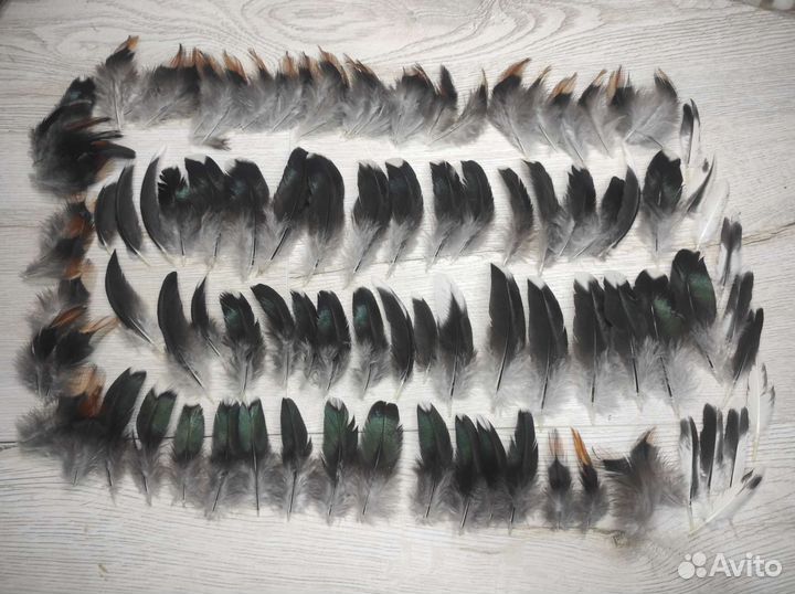 Наборы перьев