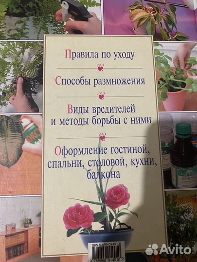 Энциклопедия комнатных растений