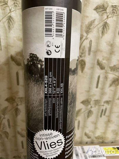 Фотообои Слон