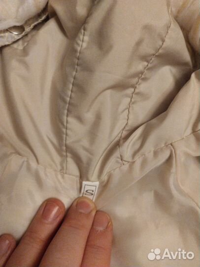 Одежда для собак