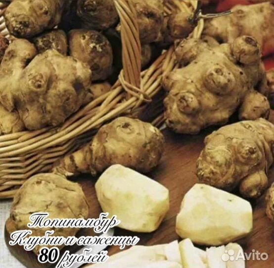 Топинамбур, груша плоды, хрен