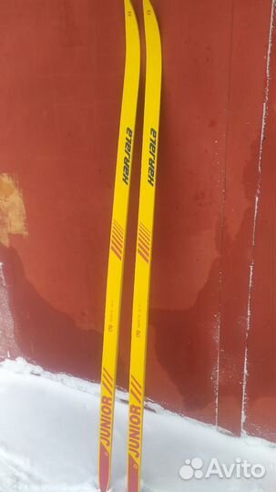 Беговые лыжи