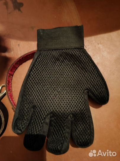 Товары для домашних животных