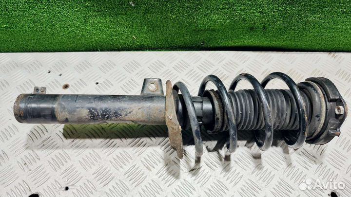 Амортизатор передний правый Volkswagen Golf 5 2006