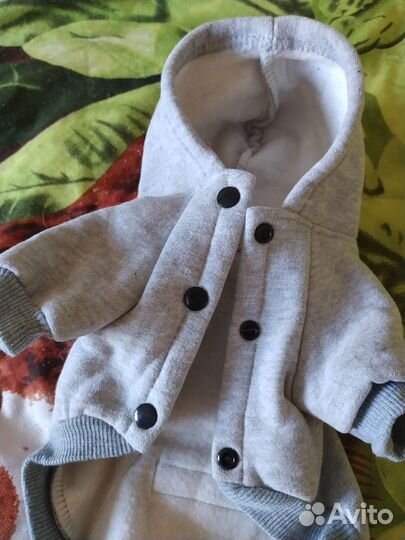 Курточка для маленькой собачки, р-р S