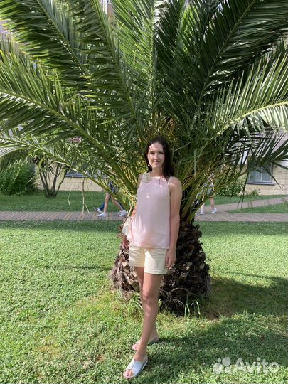 Репетитор по русскому языку огэ и егэ