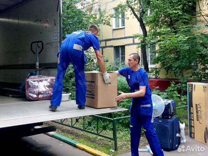 Грузчик такелажник. Ежедневная оплата