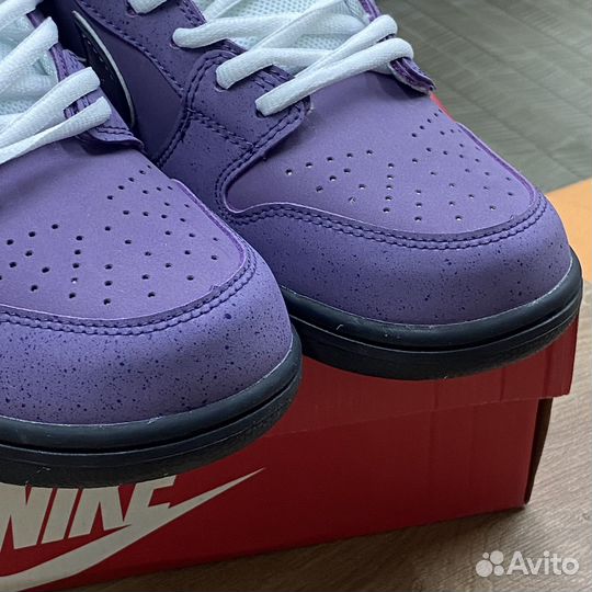 Кроссовки мужские Nike SB Dunk Concepts Lobster