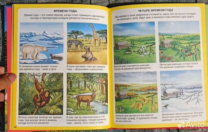 Детская энциклопедия 