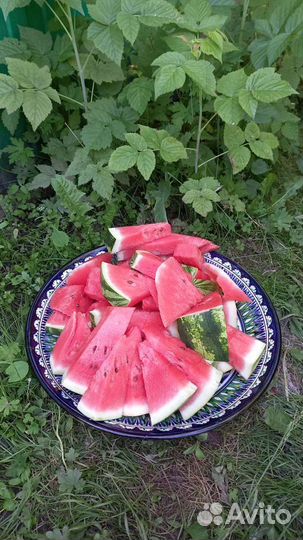 Узбекская посуда