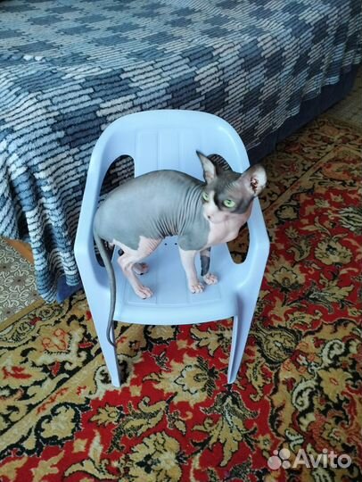 Детский стул