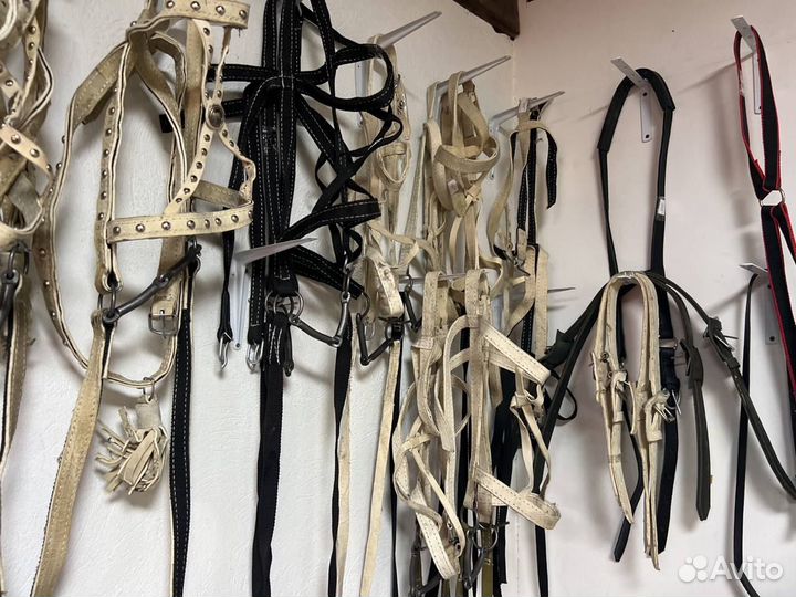 Узда для лошади