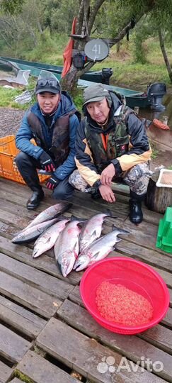 Отдых и рыбалка на Камчатке