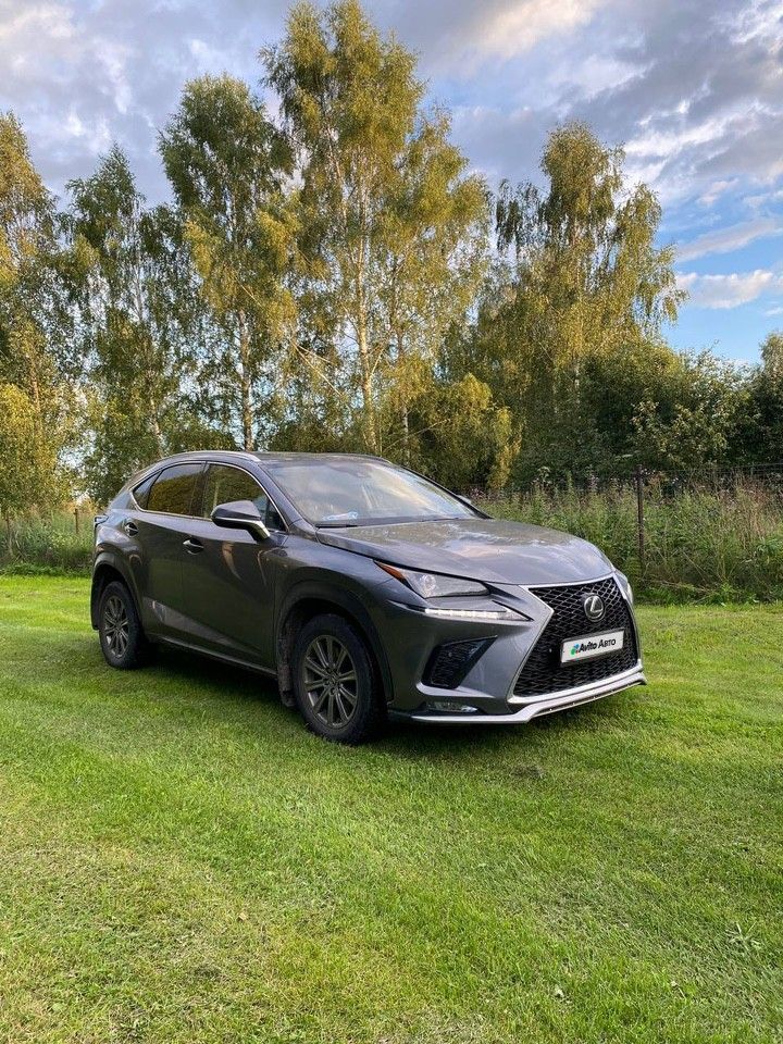 Lexus NX: фото владельца