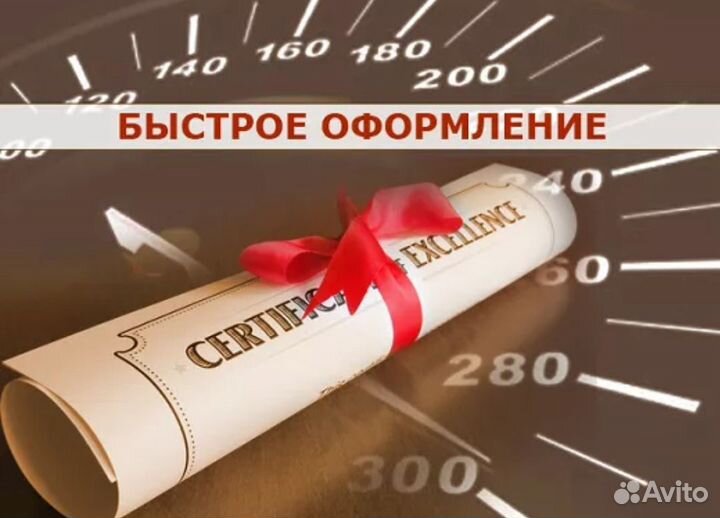 Срочное оформление карты для тахографа по естр